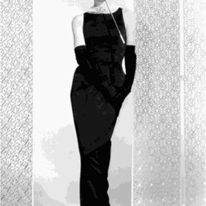 Dana Buchman breakfast at tifanny’s inspired dress